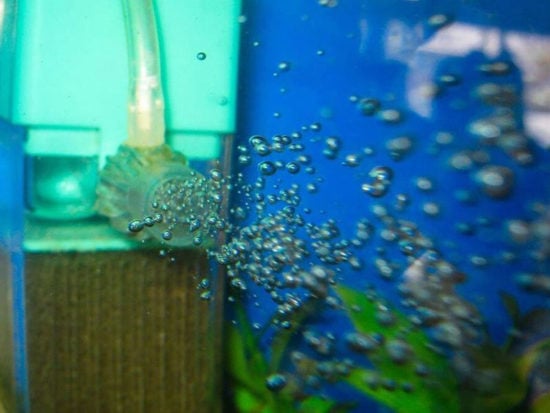 Quickly lower pH in your fish tank by reducing aeration