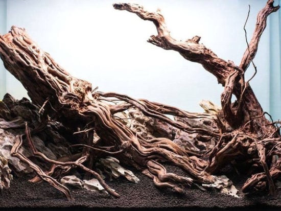 Adding Driftwood to the aquarium is the best way to lower pH levels